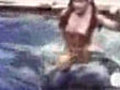 Katil balina | BahVideo.com