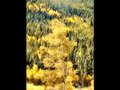 Colorado Colors Autumn 2007 | BahVideo.com