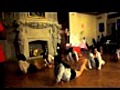ODP Spring Dance 19 | BahVideo.com