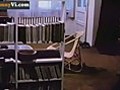 Cat VS Dog - Chaos  | BahVideo.com