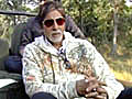 Big B joins hands with NDTV to Save our Tigers | BahVideo.com