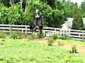 Charming Day--5 yr old Saddlebred gelding for  | BahVideo.com