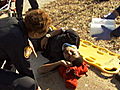 Police Women Of Memphis Preview Clips Shot  | BahVideo.com