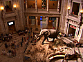 100 Years of Natural History | BahVideo.com