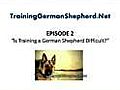 Is Training a German Shepherd Difficult | BahVideo.com