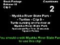 Stock Footage - Myakka River State Park - Turtles - Clip 9 - 2007  | BahVideo.com