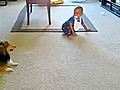 Cute Dog Plays With Baby | BahVideo.com