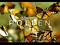 Pollen - Bande annonce | BahVideo.com