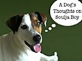 A Dog s Thoughts on Soulja Boy | BahVideo.com