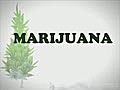 Facts You need to know about Marijuana | BahVideo.com