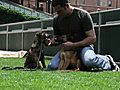 Orioles Players and Their Pets | BahVideo.com