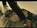 Fatty massage | BahVideo.com