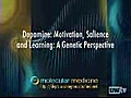 Dopamine Motivation Salience and Learning - A Genetic Perspective | BahVideo.com
