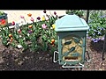 Faye Dorney-Madgitz keeps birdhouses to  | BahVideo.com