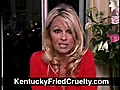 KFC Animal Cruelty - Pamela Anderson | BahVideo.com
