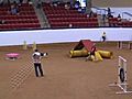 1st Annual Texas Agility ShootOut | BahVideo.com