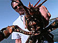 Visual Journey Maine Lobstering | BahVideo.com
