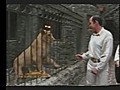 Lion Attacks Man After Provokes Lion mp4 | BahVideo.com