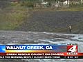 Car flips into cold and choppy creek | BahVideo.com