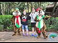 Adult s only - WDW Day 1 | BahVideo.com