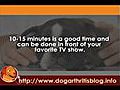 Massage for Dog Arthritis | BahVideo.com