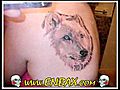 Tattooing Wolf Tattoos Designs | BahVideo.com