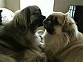 Lilo kissing a reluctant Delta | BahVideo.com
