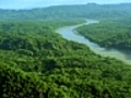 Merveilles de l Amazone | BahVideo.com