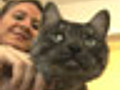 Cat People Vs Dog People | BahVideo.com