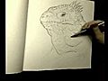 Youtube Animal Requests 10 - Iguana DarylDoesShow  | BahVideo.com