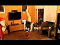 Terri Grand Ry fait des saltos dans son salon 1  | BahVideo.com