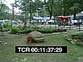 PARK WITH CHIDREN AND ADULTS | BahVideo.com