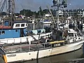 Searching for salmon off of Half Moon bay | BahVideo.com