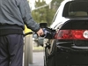 Petrol to be taxed eventually - Greens | BahVideo.com
