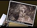  Kuala lumpur amp Batu Caves Agnesnow s  | BahVideo.com