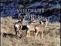 Sweetwater Outfitters Mule Deer | BahVideo.com