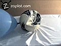 Balonla top sisirmeyi grenin | BahVideo.com
