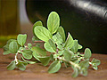Spotlight on Herbs Sweet Marjoram | BahVideo.com