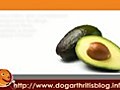 Avocados As a Natural Dog Arthritis Treatment | BahVideo.com
