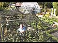 Steel Fruit Cage why it s most | BahVideo.com