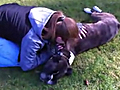 Dog Saved Through CPR | BahVideo.com