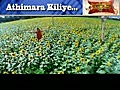Athimara Kiliye - Kanjipurathe Kalyanam | BahVideo.com