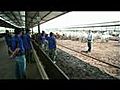 Live cattle export | BahVideo.com