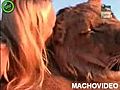 chick loves lion | BahVideo.com