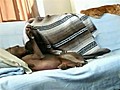Un chat se fait piquer sa couette par un chien  | BahVideo.com