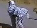 Men in zebra suit run with lions | BahVideo.com