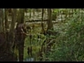 Casey Anthony Movie | BahVideo.com