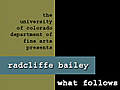 Radcliffe Bailey - Mixed Media Painter | BahVideo.com