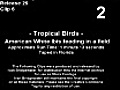 Tropical Birds 2007  | BahVideo.com