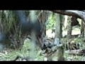 ARROW AFFLICTION Turkey hunting clip | BahVideo.com